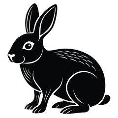 vector illustration of a bunny