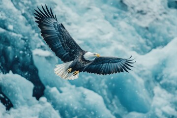Fototapeta premium Majestic bald eagle in flight over a breathtaking icy landscape.