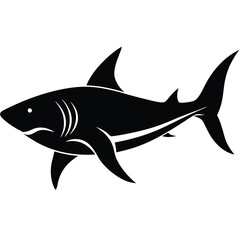 shark vector illustration