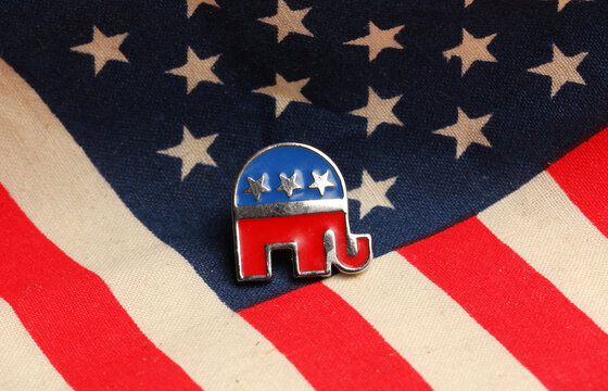 badge of the Republican Party of the USA 02.22.2025 Moscow Russia