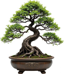 Elegant Bonsai Tree in Brown Pot Lush Green Foliage Detailed Trunk and Roots Zen Garden Plant