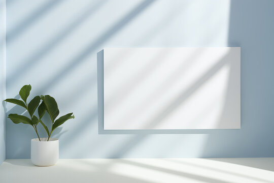 Fototapeta minimalist interior scene featuring blank white canvas on light blue wall, complemented by green potted plant. soft shadows create serene atmosphere