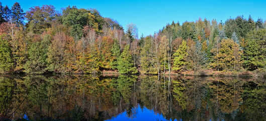 Autumn in German forest with relection in a lake