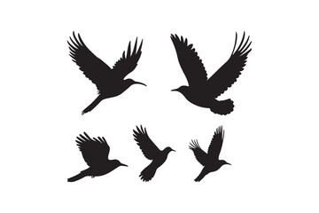 Flying Bird Silhouette Clipart Set