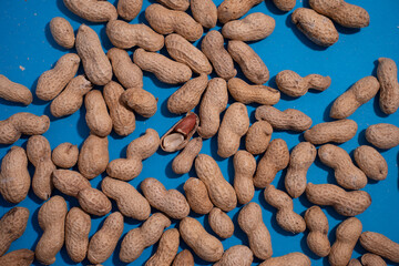top view of raw peanuts in shell on blue background.