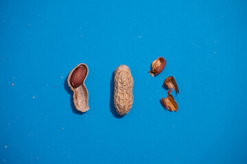 Raw peanuts top view isolated on blue background (shelled, husk, whole, halves).