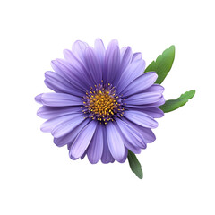 A serene lilac flower blossoms peacefully nature's gentle beauty