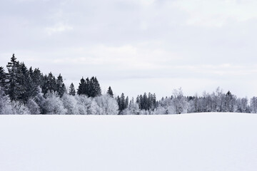 Hoarfrost along Kronborgsetergrenda of rural Toten, Norway, in February 2025.