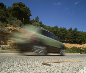 road casualty dead in road Snake snake (coluber viridiflavus) killed on the road. Alghero.