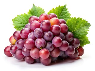 Fototapeta premium Isabela Grapes Isolated on White Background - Rule of Thirds Photography