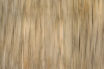 Abstract background blur in tints of brown 