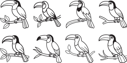 set of toucan bird on tree branch line art, black outline, vector and illustration, line art and outline