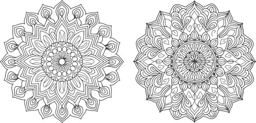vector lace pattern