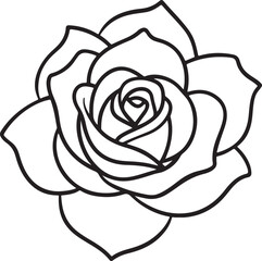 rose flower line art, black outline, vector and illustration, line art and outline