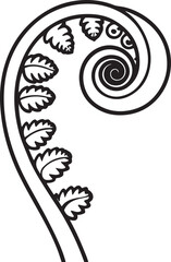 fiddlehead fern line art, black outline, vector and illustration, line art and outline