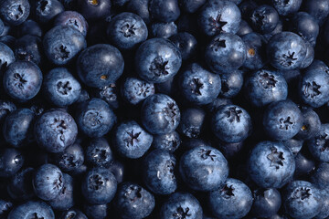 Fresh blueberry background, close up. Fruit background, studio shot.  