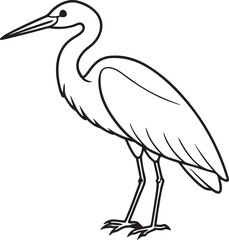 egret bird line art, black outline, vector and illustration, line art and outline