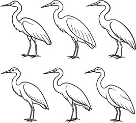 set egret bird line art, black outline, vector and illustration, line art and outline