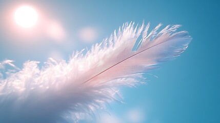 Minimalist soft feather gliding effortlessly in a light blue sky