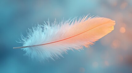 Dreamlike white feather suspended in a pastel sky blue background