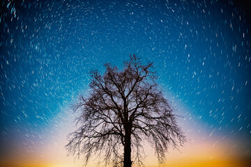 Movement of stars in the sky