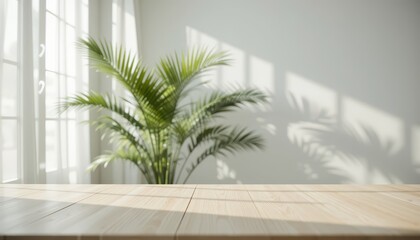 Fototapeta premium Bright Indoor Space with Green Plant and Sunlight Shadows