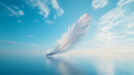 A peaceful moment captured with a feather drifting through an open sky