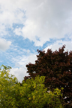 Summer clouds
