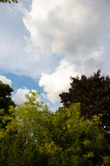 Summer clouds