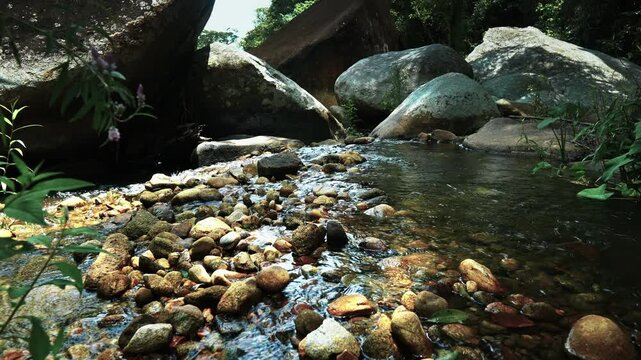 A stream in the middle of the jungle with clear water next to huge rocks