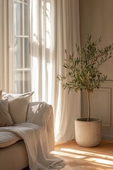 Elegant Living Room With a Light-Filled Corner Featuring a Stylish Sofa and a Decorative Olive Tree in a Modern Pot