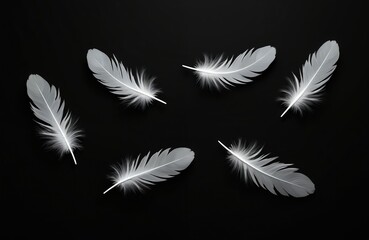 White feathers isolated on black background. Set of light soft plumes, down. Fluffy feather texture, abstract pattern. Symbol of lightness, dreams and airiness. Flying feathers concept.