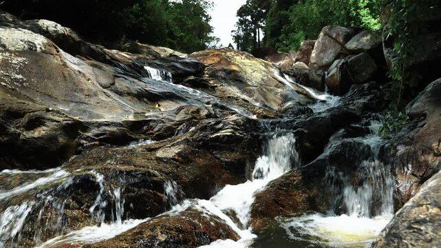 A small cascading waterfall with branching streams in the middle of the jungle
