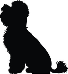 Bichon Frise dog Silhouette