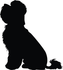 Bichon Frise dog Silhouette