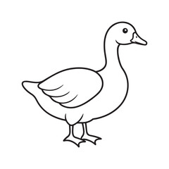 Duck Goose Animal Vector Illustration