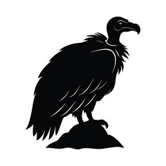 Big griffon vulture Silhouette isolated on a white background