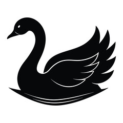 Fototapeta premium black swan vector illustration isolated on a white background