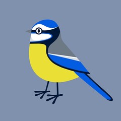 Cute blue tit illustration in a graphic style. Blue tit image. Cartoon blue tit design. Single blue tit image. Cute garden bird and a favourite with many people. Bluetit bird.