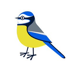 Cute blue tit illustration in a graphic style. Blue tit image. Cartoon blue tit design. Single blue tit image. Cute garden bird and a favourite with many people. Bluetit bird.