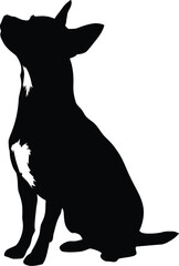 Chihuahua dog Silhouette