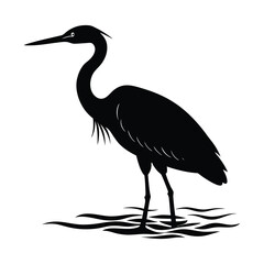 heron of the sea isolated on a white background