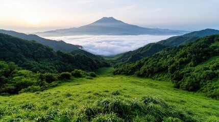 Naklejka premium Sunrise over mountain valley, sea of clouds, green hills. Peaceful landscape for travel brochure