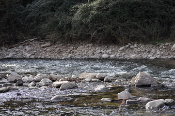 río, río caudaloso, rocas en el rio, arroyo, cascada