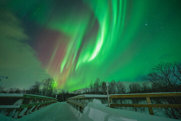 Obraz premium Majestic Red and Green Aurora Borealis Dancing Over a Snowy Landscape