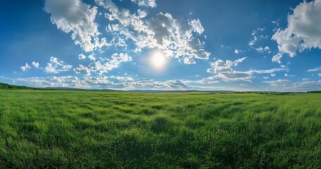 Obraz premium Sunny Day in the Green Field A Beautiful Landscape with Lush Green Grass, Fluffy White Clouds, and Bright Sun Under a Blue Sky
