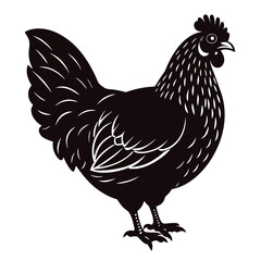 australorp camilla the chicken vector illustration