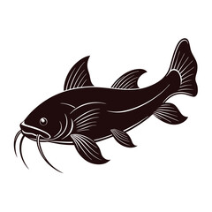 catfish vector illustration