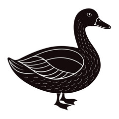 teal duck vector illustration