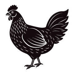 wyandotte vector illustration